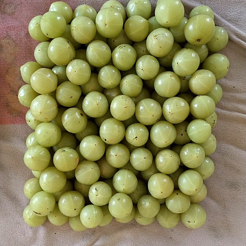 Amla