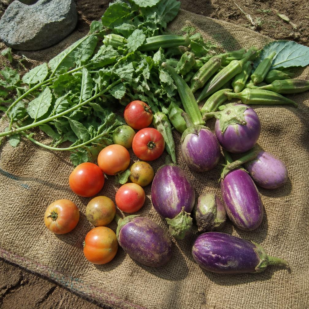 Vegetables