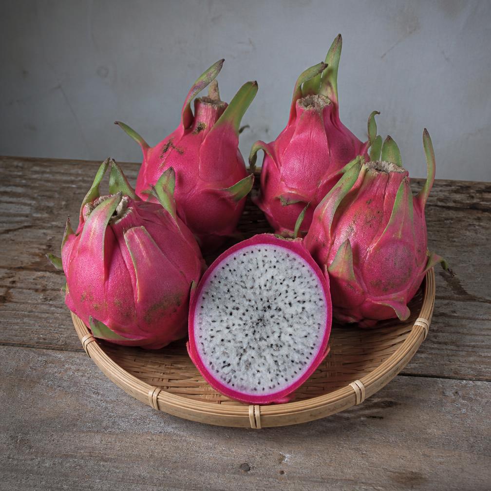 Pink Dragon Fruit